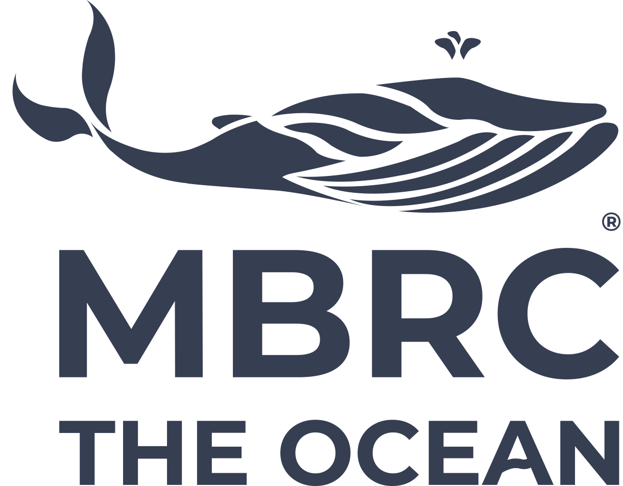 Unterstütze unseren nächsten Beach Cleanup!